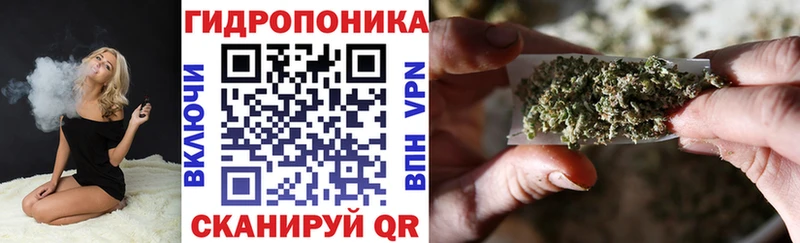 Бошки Шишки семена  даркнет сайт  Рубцовск 